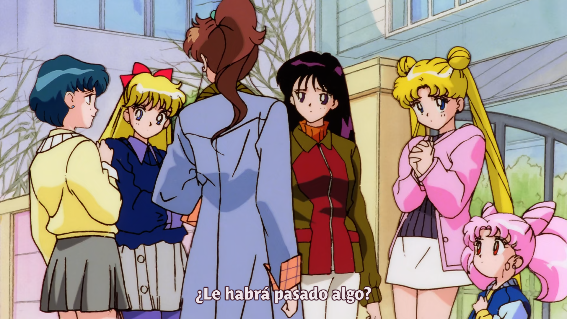 Bishoujo Senshi Sailor Moon S: Kaguya-hime no Koibito (Majo no Kuni)